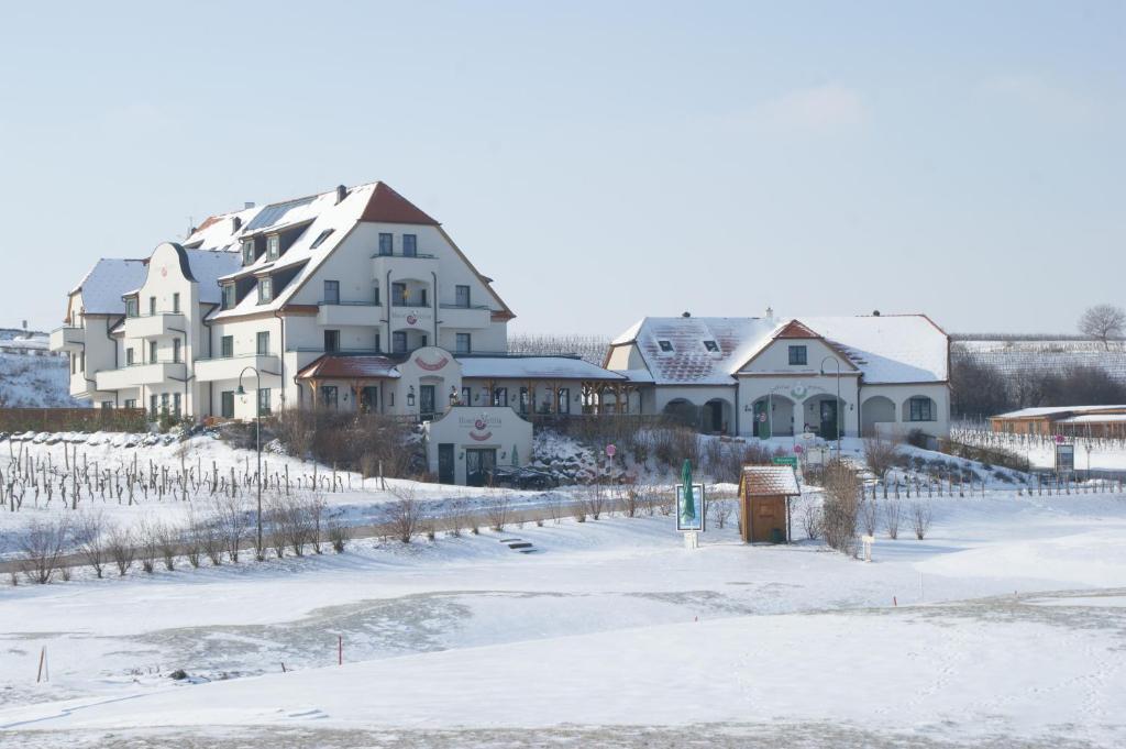 Hotel Neustifter v zimě
