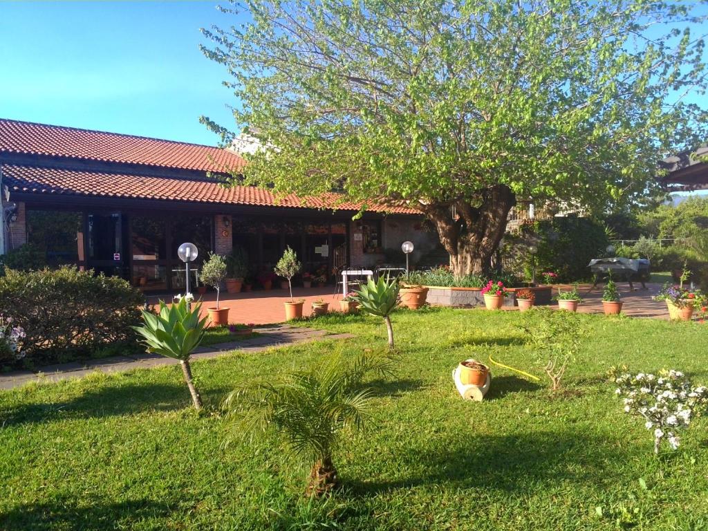 un jardin en face d'une maison ornée de plantes dans l'établissement Agriturismo Il Pozzo Antico, à Mascali