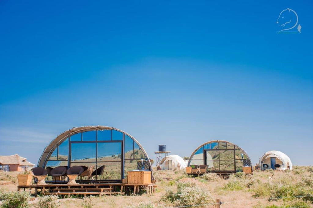 a group of domes in the middle of a field at Little Amanya Camp in Amboseli