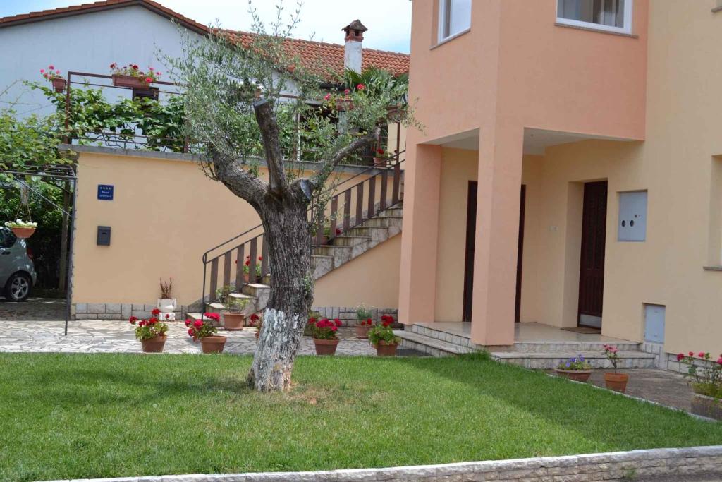 Fotografia z galérie ubytovania Apartment in Rovinj/Istrien 11706 v destinácii Štanga