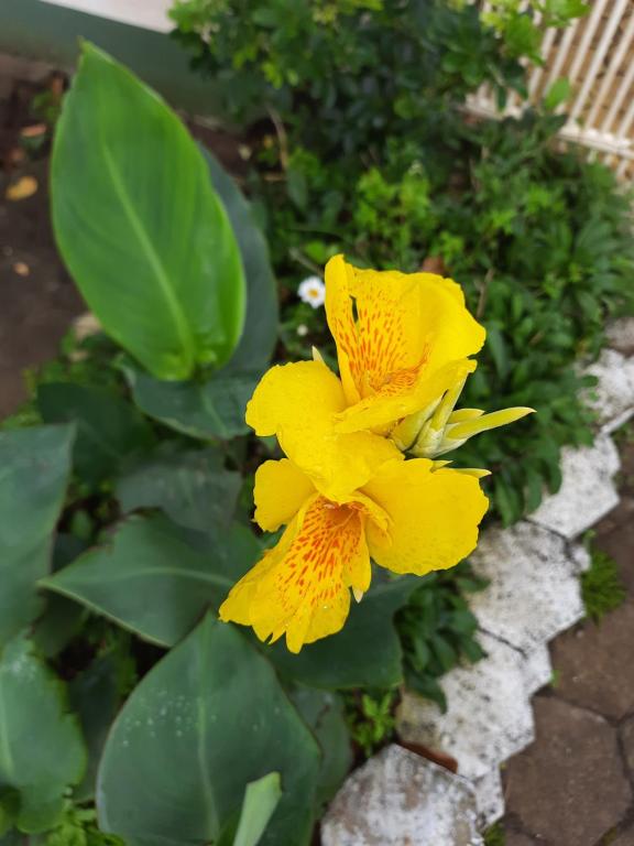  Pousada Anturio