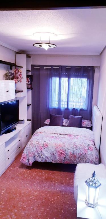 a bedroom with a large bed and a tv at Habitacion privada Valencia in Valencia