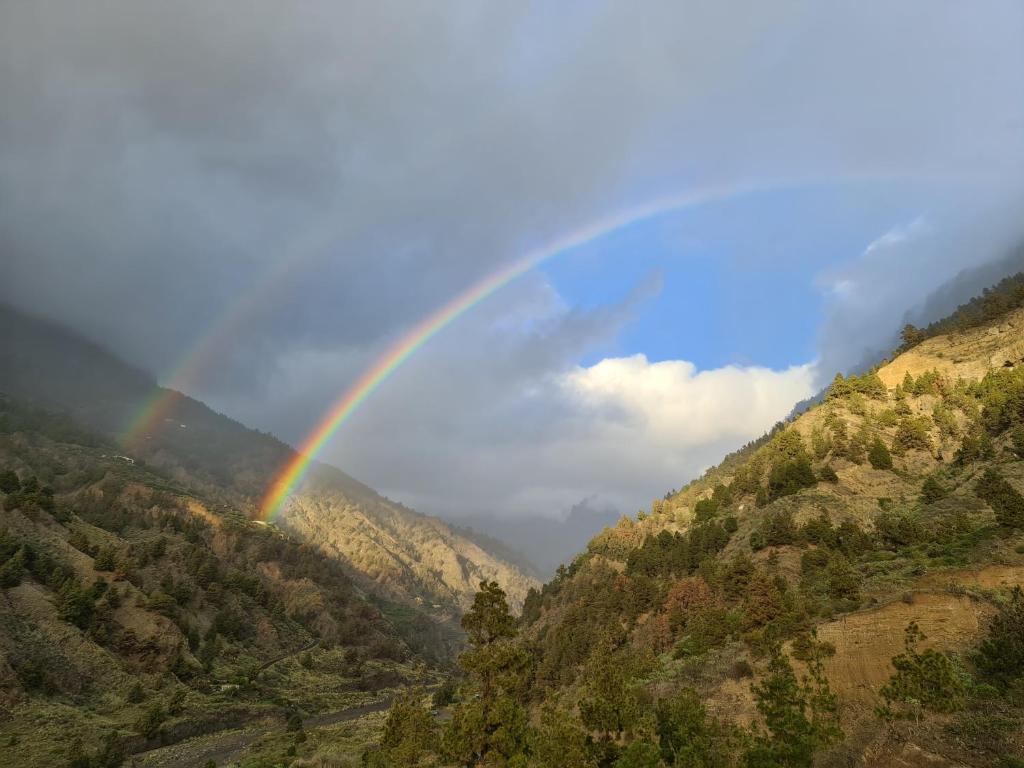Príroda v okolí luxusného stanu