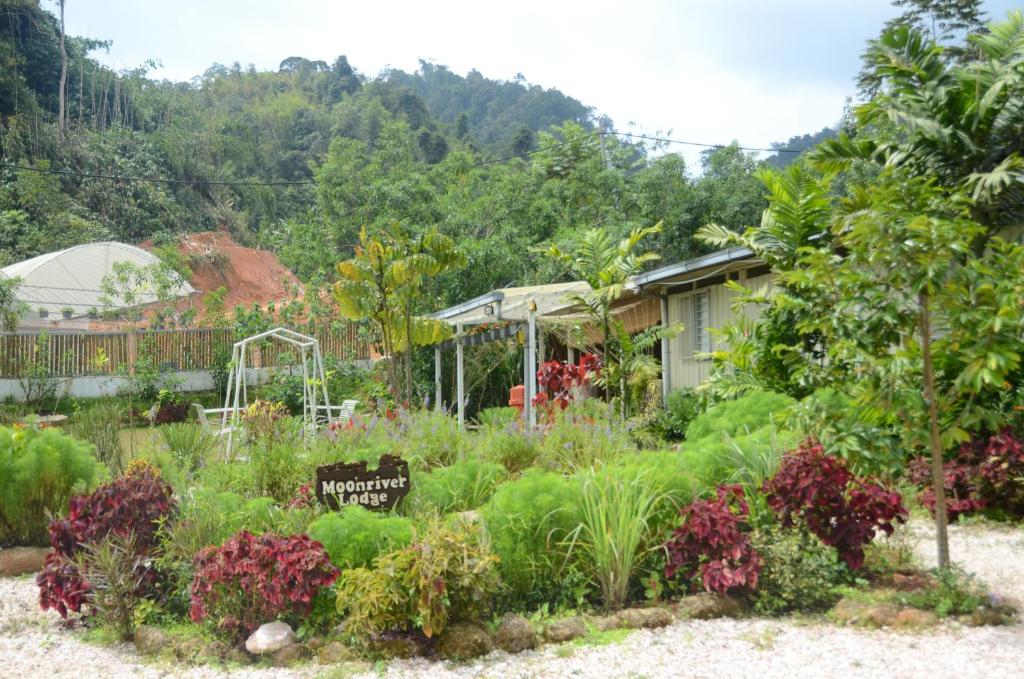 a garden in front of a house at Moonriver Lodge in Cameron Highlands
