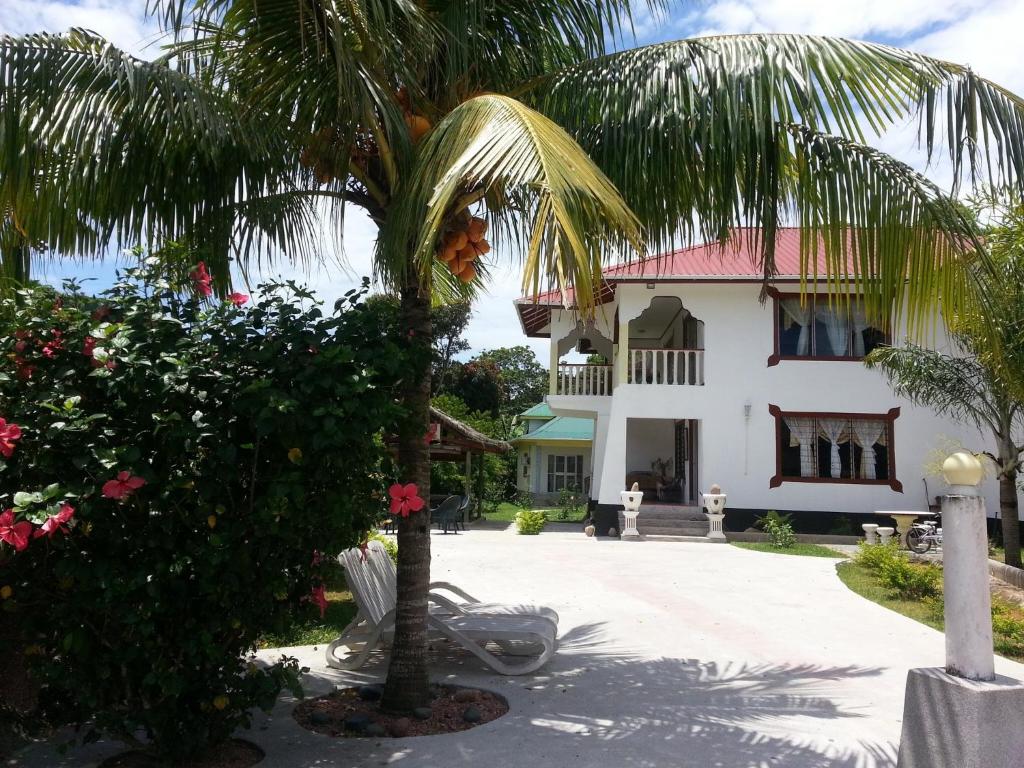 Κήπος έξω από το Zanboza Guesthouse