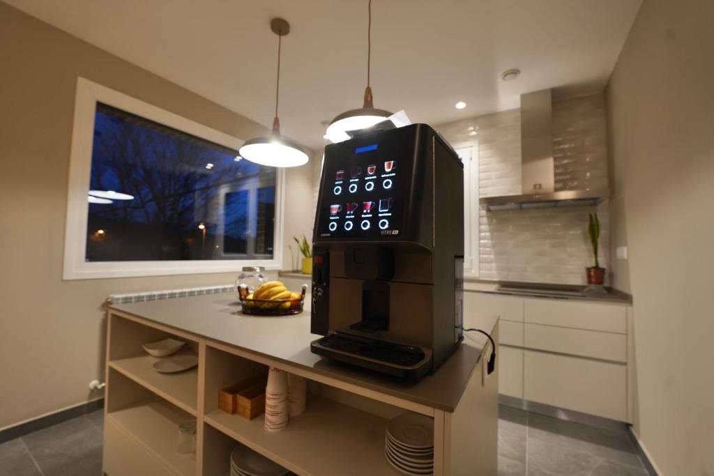 Kuchyň nebo kuchyňský kout v ubytování Larrion Hostal - Ostatua