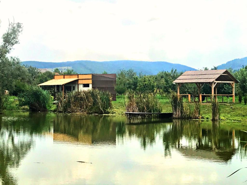 a couple of buildings next to a body of water at Honey Tiny Home in Vadu Crişului