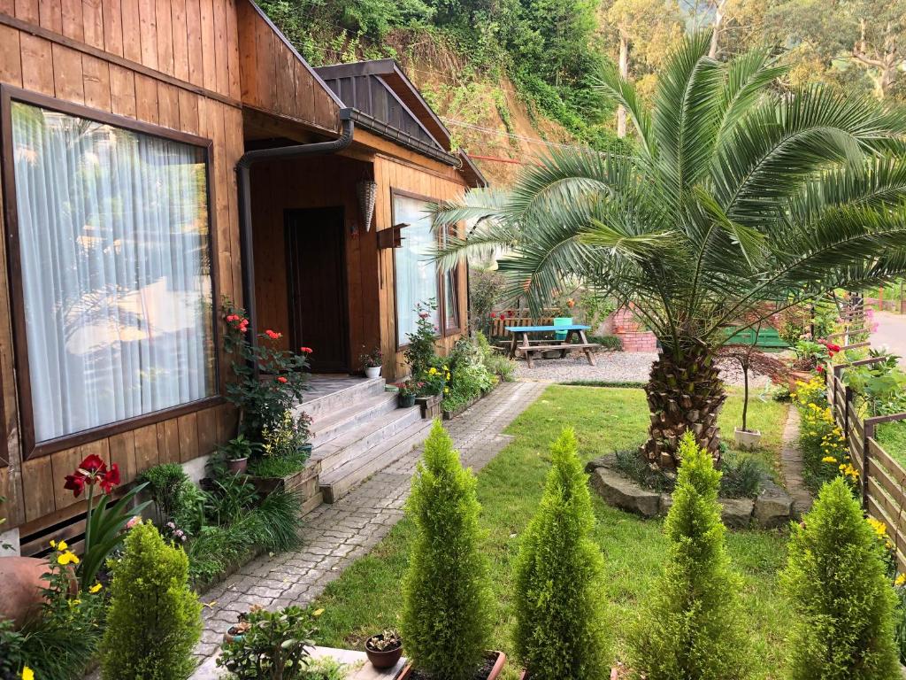 a house with a palm tree in the yard at Chalet Ochos Qokhi in Kvariati