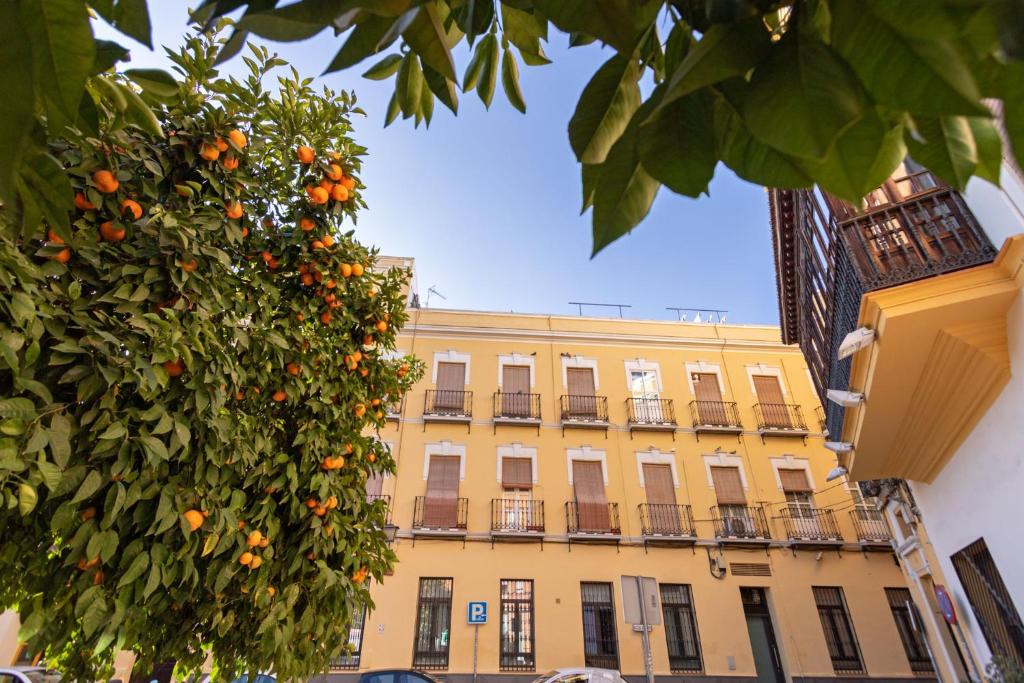 Nine O Clock San Agustin by Valcambre, Sevilla – Precios ...