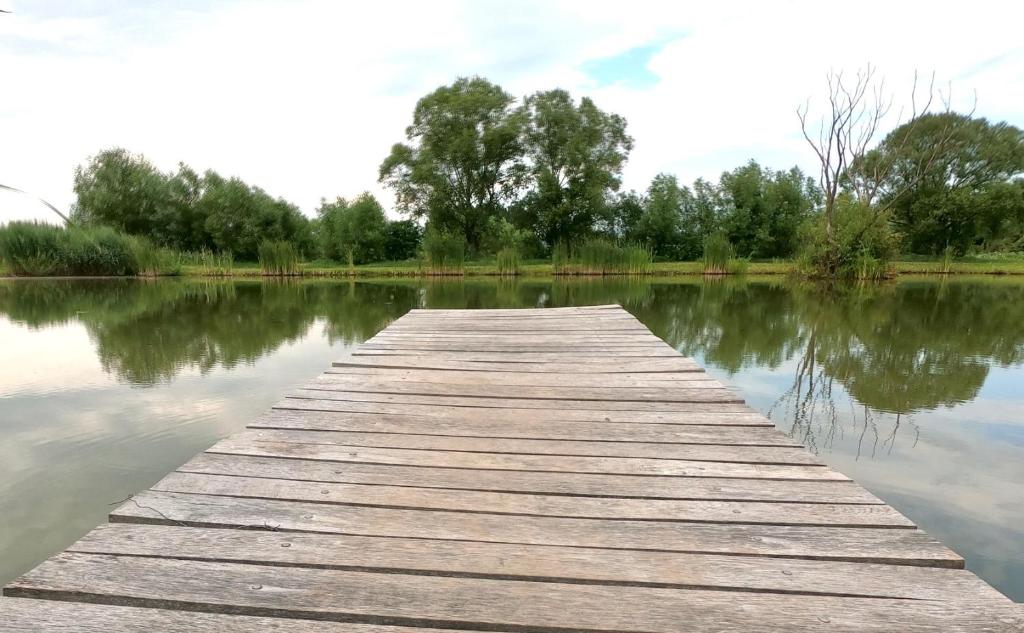 Příroda nedaleko kempu