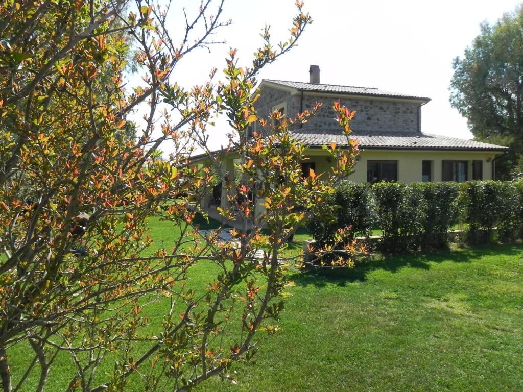una casa en el fondo con un árbol en el primer plano en B&B Monte di Bù, en Bagno Roselle