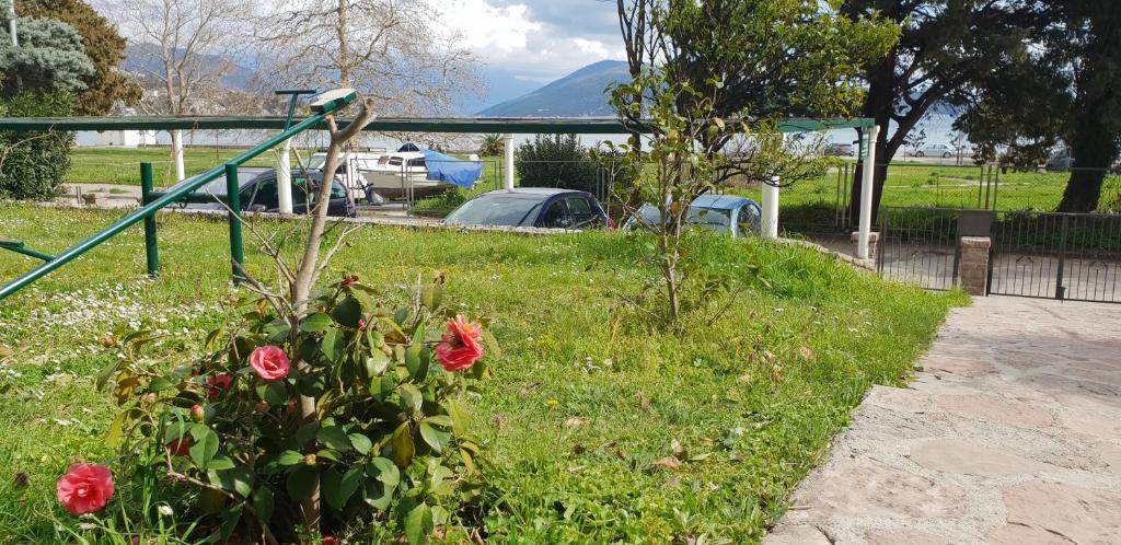 Zahrada ubytování Apartmani Galiot