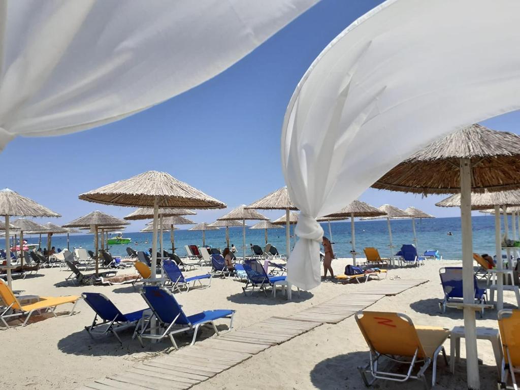 a group of chairs and umbrellas on a beach at Hotel Zografos in Paralia Katerinis