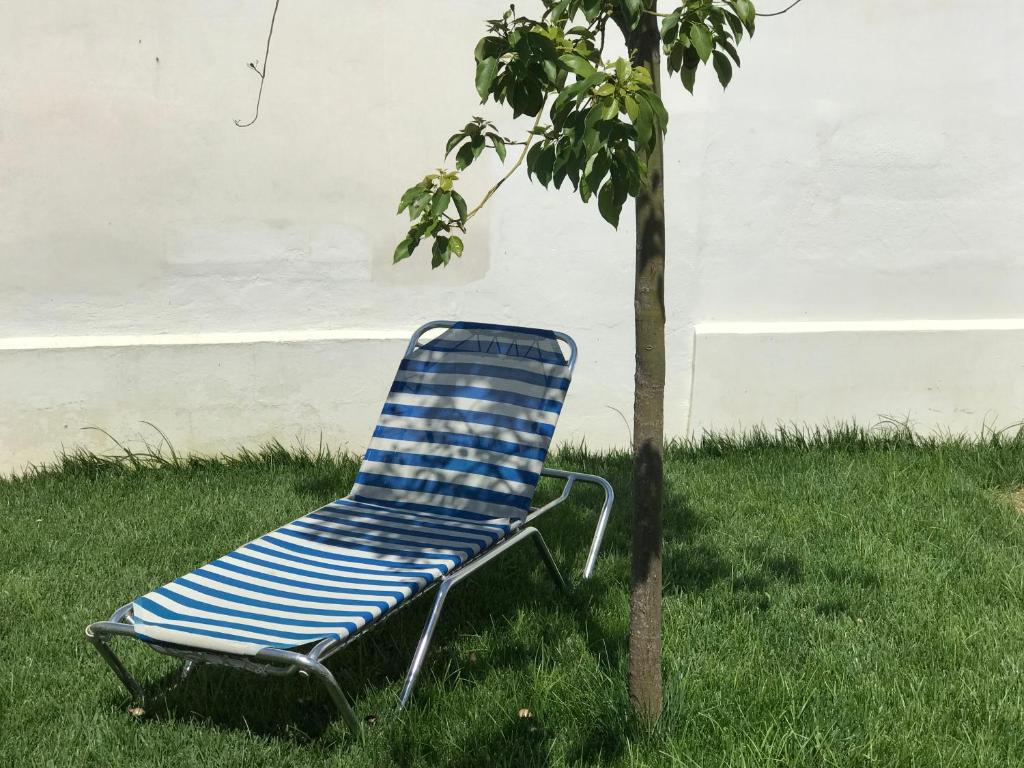 トッレ・ラピッロにあるVilletta Cristinaの木の横の芝生に座る椅子