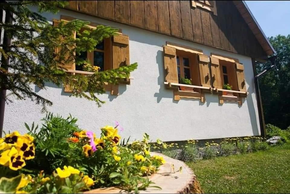 dom z dwoma oknami i kwiatami przed nim w obiekcie Holiday home Margherita w mieście Begovo Razdolje