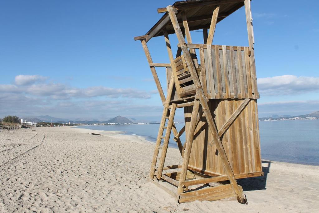 Příroda nedaleko apartmánu