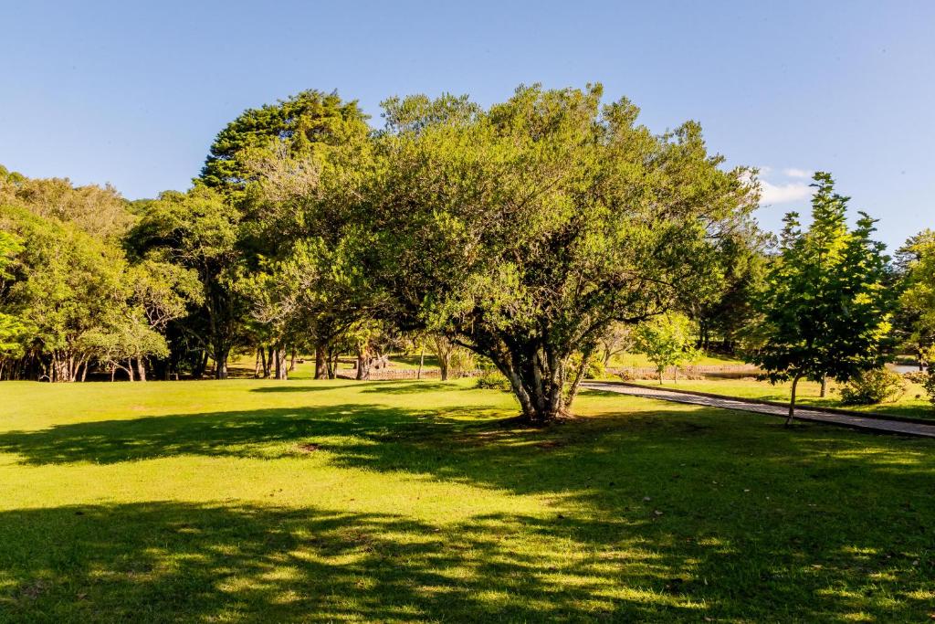 Sitio linha 15 - Casa no sítio para 7 pessoas  Sitio linha 15 - Casa no sítio para 7 pessoas