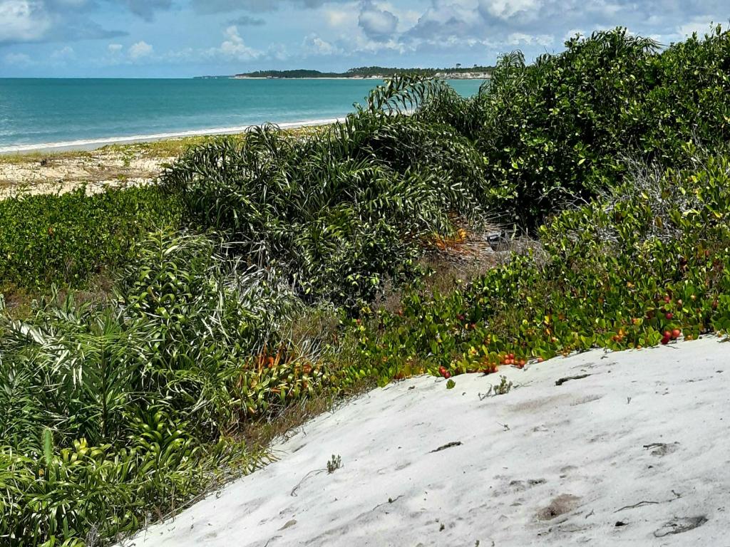 Oca da Villa Hospedagem - Corumbau Pataxós