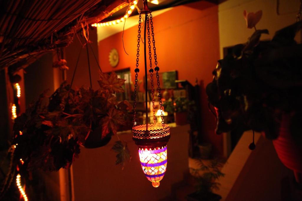 Trip'n'Hostel - Imazhi 4