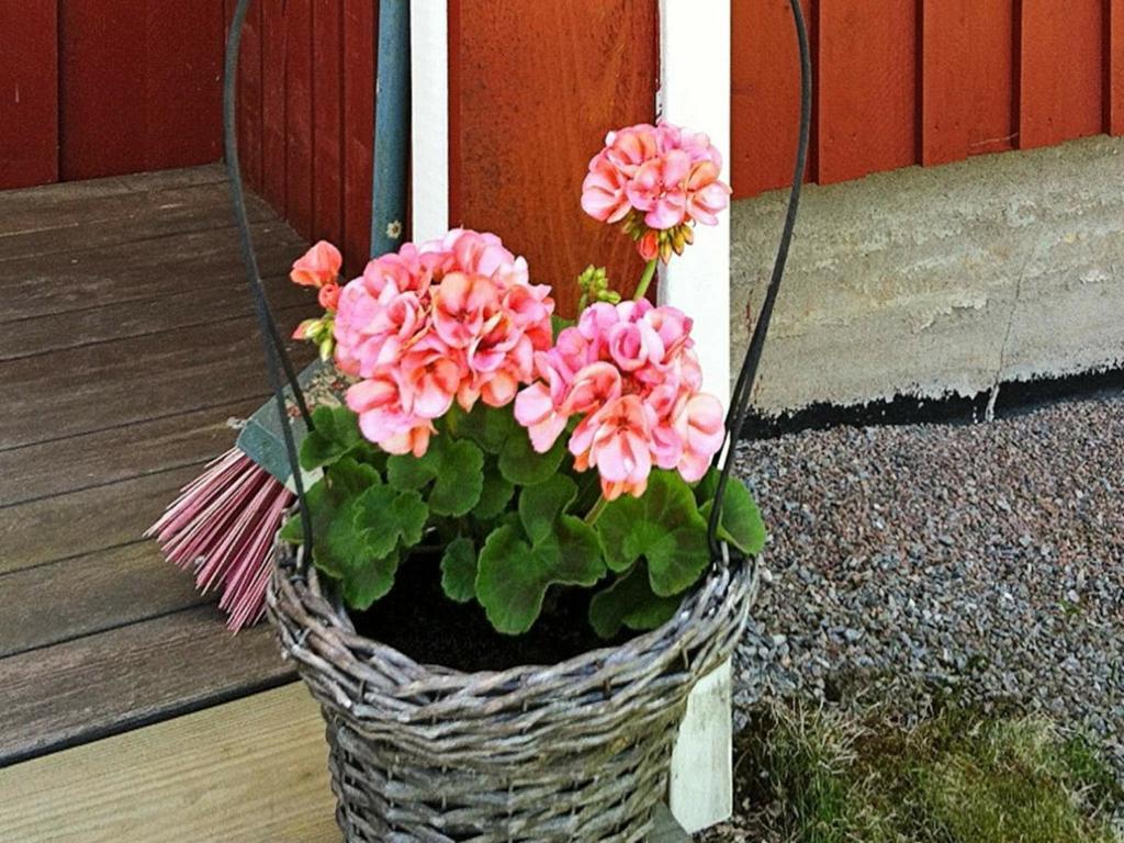 Zahrada ubytování 4 person holiday home in HENÅN
