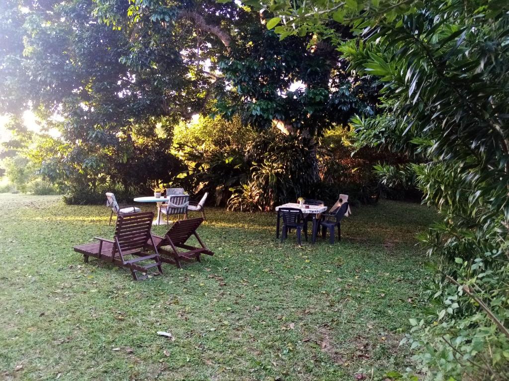un groupe de tables et de chaises sous un arbre dans l'établissement St Lucia Wilds, à St Lucia