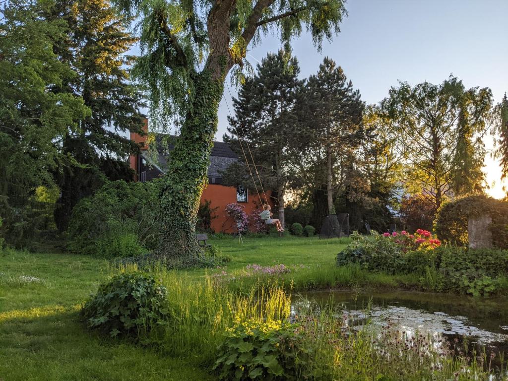 a garden with a pond and a tree at Auszeitoase Freystadt - Park, Billard, Sauna - ideal für Familientreffen und Messe Nürnberg in Freystadt