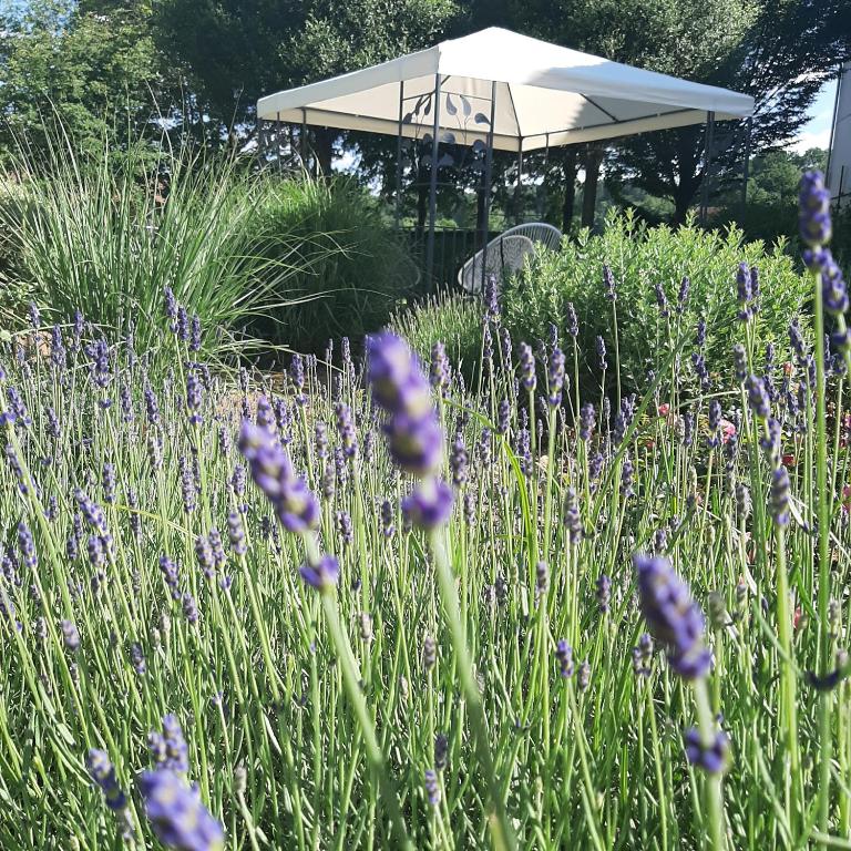 Zahrada ubytování Hotel Garni Landhaus Florian