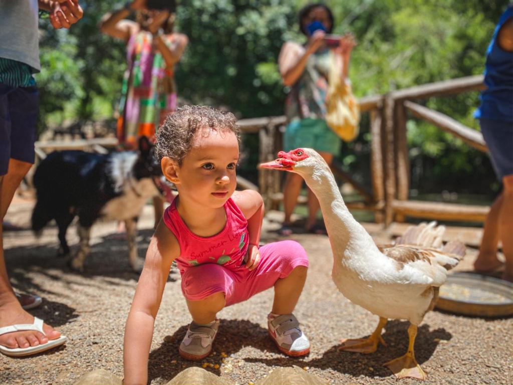 Pousada Nova Gironda