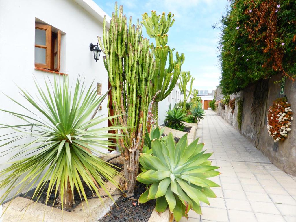 Hotel Rural El Navío - Adults Onlyにある庭