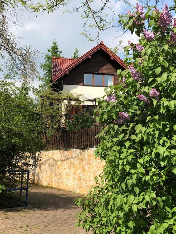 Vonkajšia záhrada v ubytovaní Leśna 6 - House with a garden