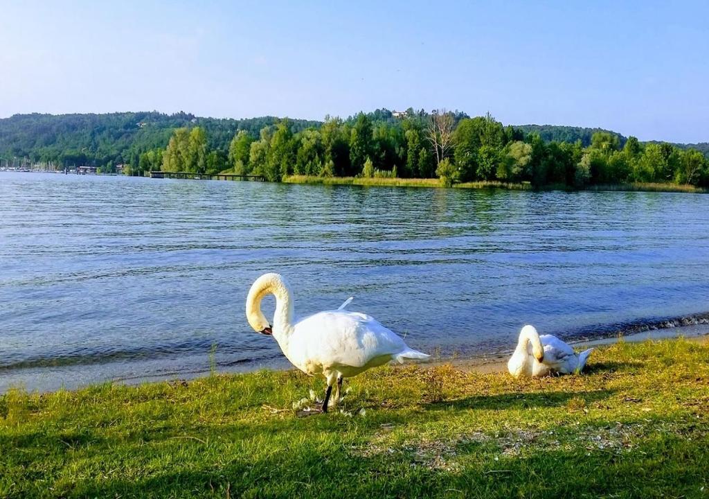 Príroda v okolí dovolenkového domu