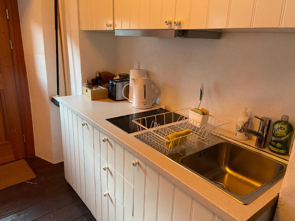 Kuchyň nebo kuchyňský kout v ubytování Rustici Maggia