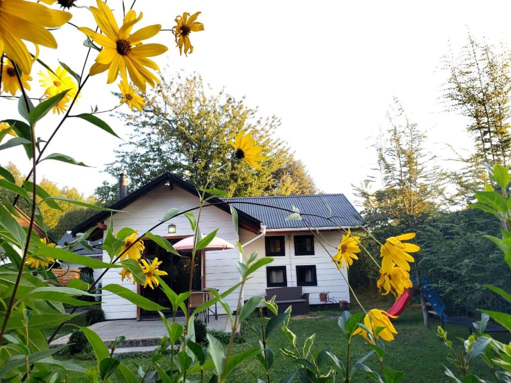 Gallery image of Cabañas Anisa in Pucón