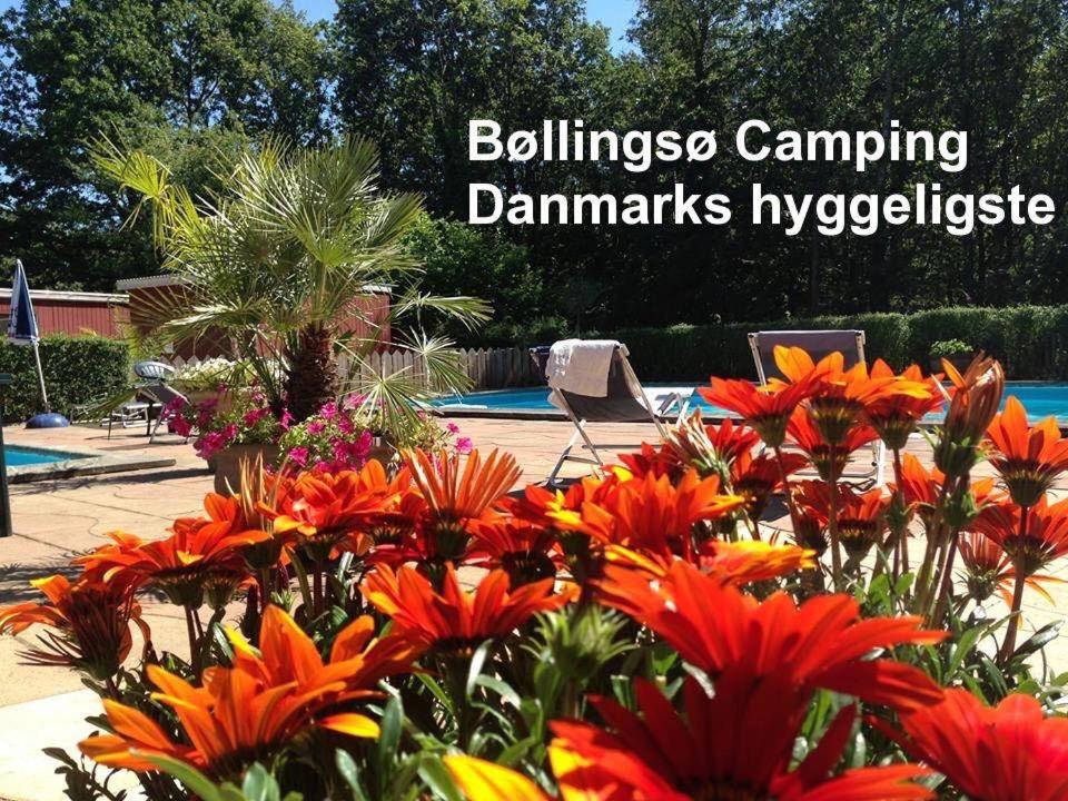 Zahrada ubytování Bøllingsø Camping