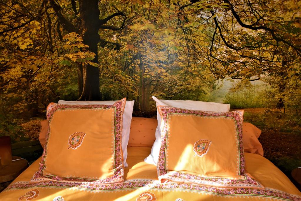 B&B Au fil des saisons sur la Wiels - Housity