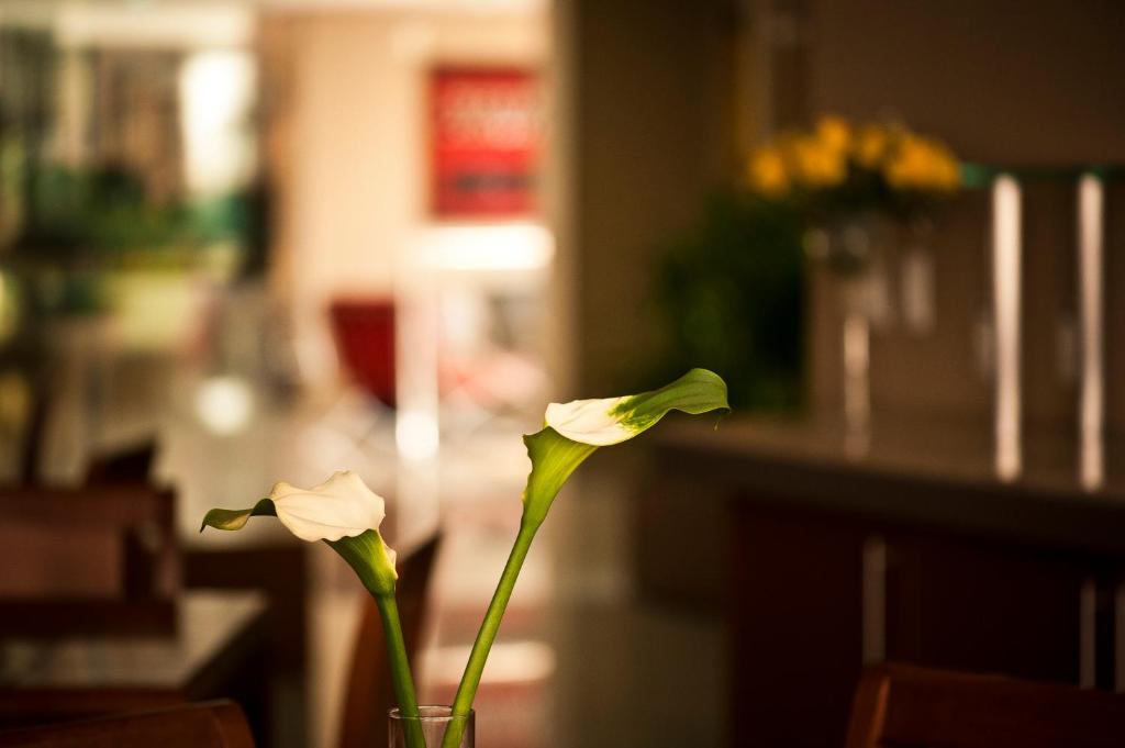  Alfa Hotel