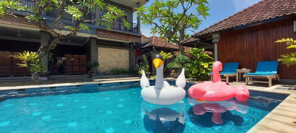 a swimming pool with two inflatable swans in a house at Hotel Shri Ganesh in Lovina