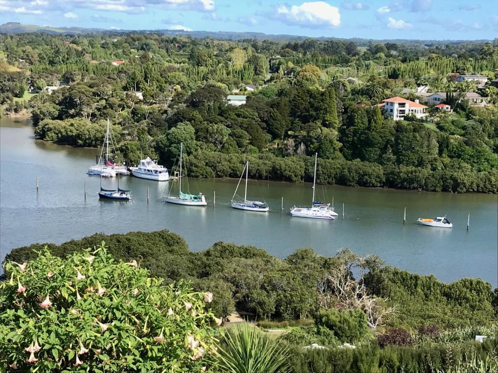 a group of boats are docked in a river at Sunset Point Kerikeri in Kerikeri