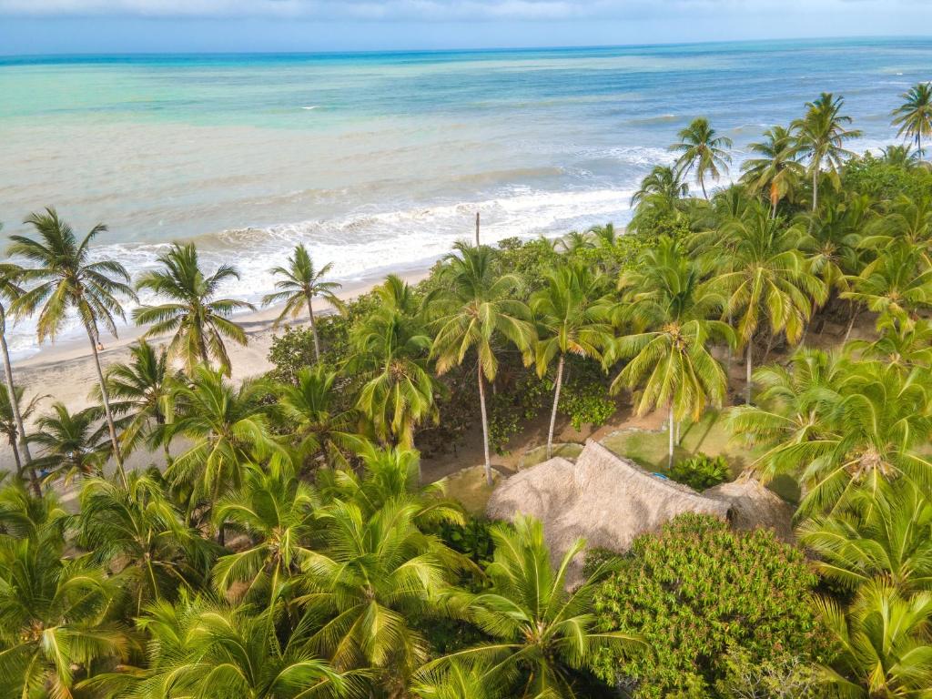 una vista aérea de una playa con palmeras y el océano en Hotel Casalina en Palomino