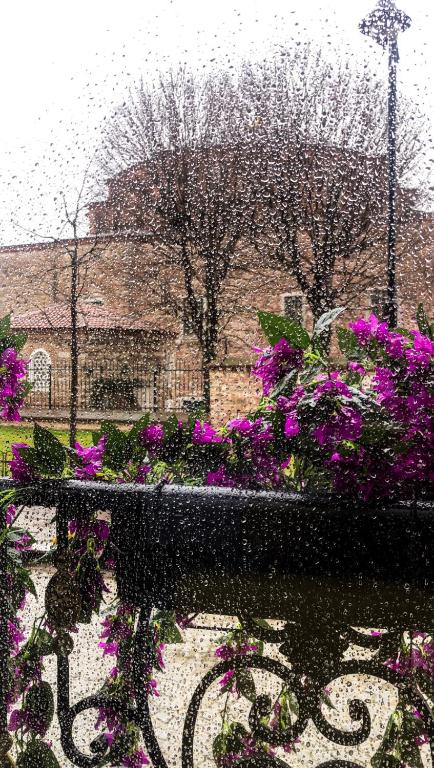 Little sofia hotel - 10