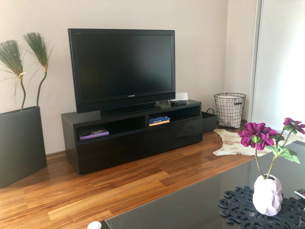TV a/nebo společenská místnost v ubytování Apartmán SUZANNE