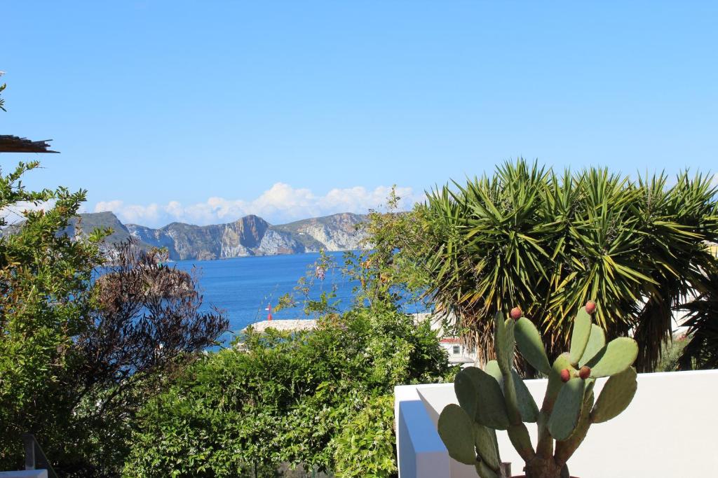 a cactus with a view of the water and mountains at Agenzia Isotur Villa Olimpia in Ponza