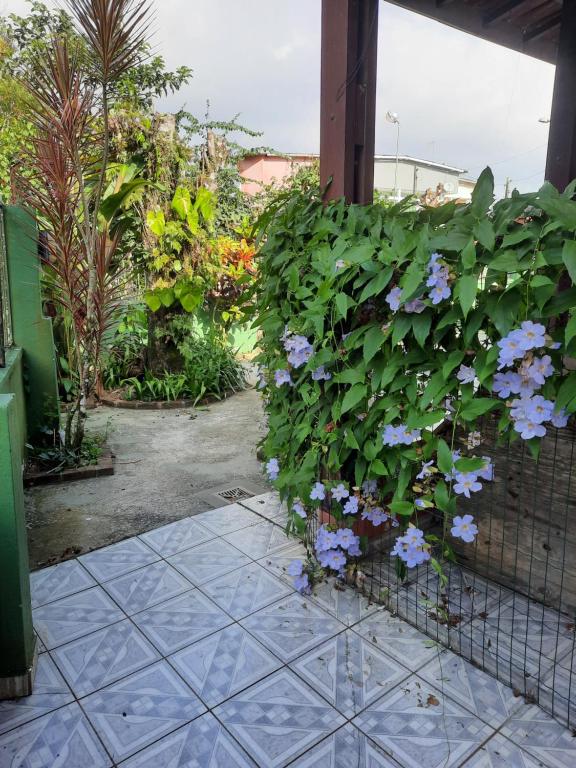  No Centro Com Vista Para O Rio