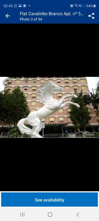  Flat no Hotel Cavalinho Branco