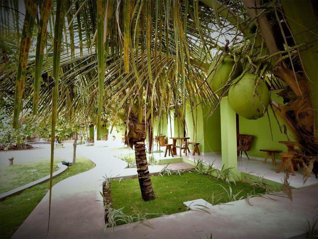  Verde vida chalé