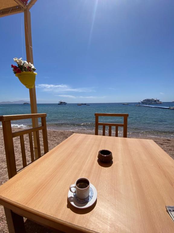 Fotografie z fotogalerie ubytování Sharks bay oasis apartment with private beach v destinaci Sharm El Sheikh