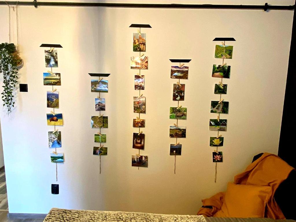 Fotografie z fotogalerie ubytování Night Lotus v destinaci Hunedoara