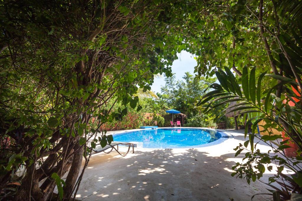 einen Pool inmitten eines Gartens mit Bäumen in der Unterkunft Casa Don Diego in Tulum