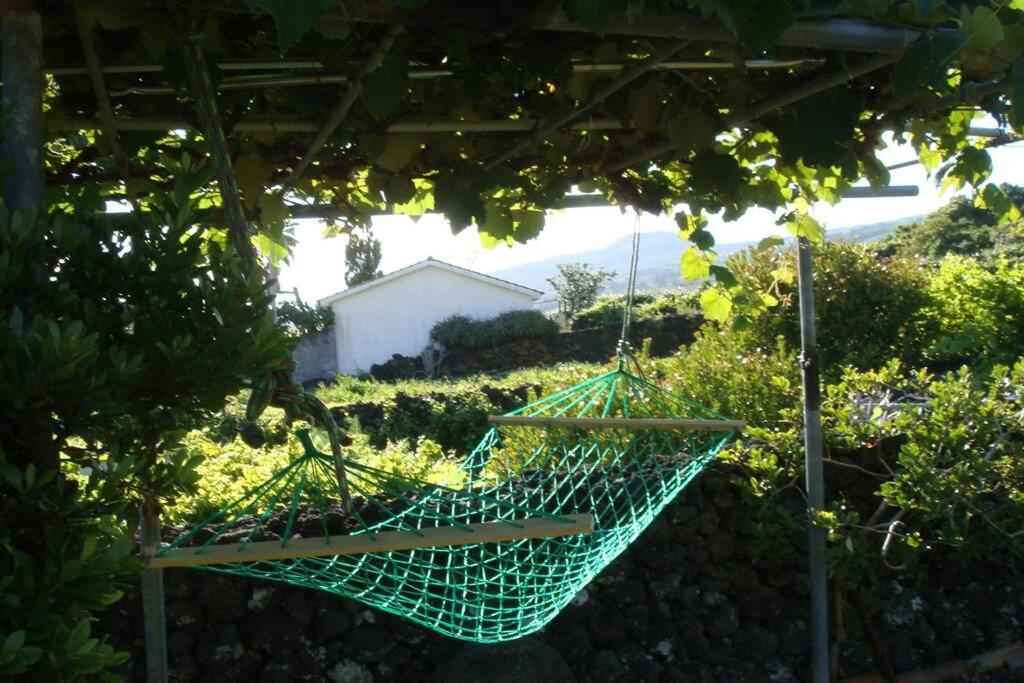 a green hammock hanging from a tree in a garden at Silveira's Home in Lajes do Pico