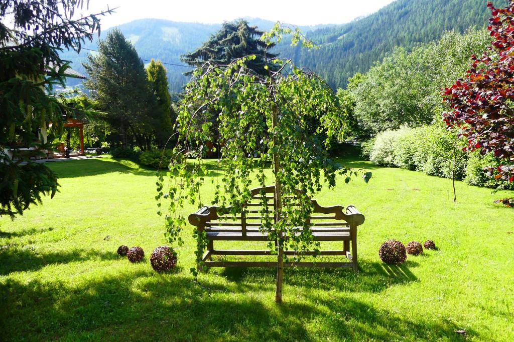 Příroda nedaleko apartmánu